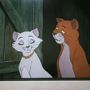 Meet your Posher, Martin